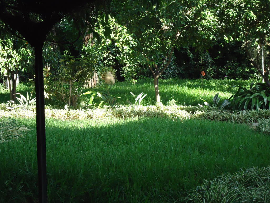 B&B Cottage Dei Consoli Sant'Agata Li Battiati Экстерьер фото
